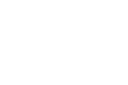 Intel Software Partner